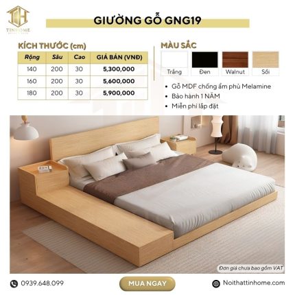 GNG19