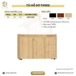Tủ hồ sơ THS02.3 120x100 - Vân gỗ đậm - Ảnh 5