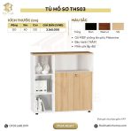 Tủ hồ sơ THS03.3 120x120 - Trắng - Ảnh 6