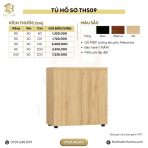 Tủ hồ sơ THS09.2 80x80 - Vân gỗ đậm - Ảnh 5