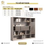 Tủ hồ sơ THS18.1 200x200 - Vân gỗ - Ảnh 4