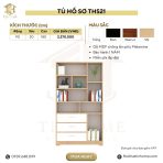 Tủ hồ sơ THS21