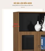 Tủ hồ sơ THS01.2 80x120 - Vân gỗ đậm