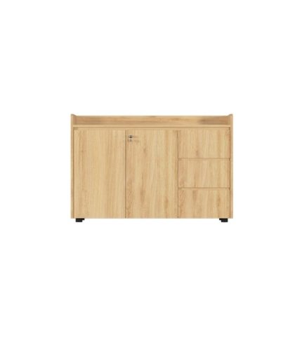 Tủ hồ sơ THS02.1 120x100 - Vân gỗ nhạt