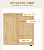 Tủ hồ sơ THS02.1 120x100 - Vân gỗ nhạt