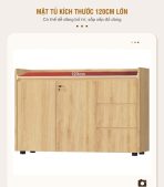 Tủ hồ sơ THS02.1 120x100 - Vân gỗ nhạt