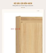 Tủ hồ sơ THS02.1 120x100 - Vân gỗ nhạt