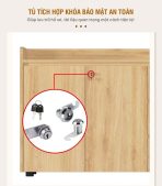 Tủ hồ sơ THS02.1 120x100 - Vân gỗ nhạt