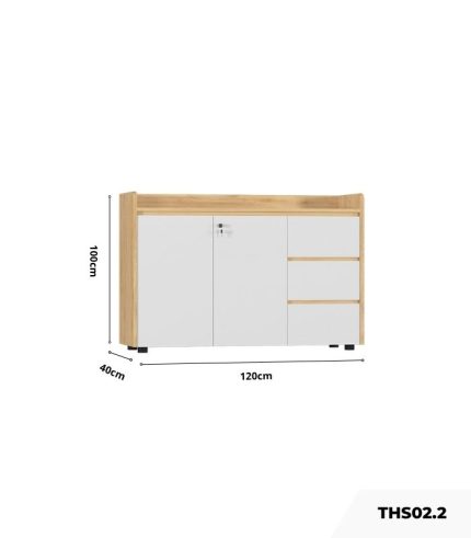 Tủ hồ sơ THS02.2 120x100 - Vân gỗ nhạt kết hợp Trắng