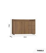 Tủ hồ sơ THS02.3 120x100 - Vân gỗ đậm