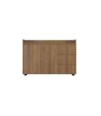 Tủ hồ sơ THS02.3 120x100 - Vân gỗ đậm