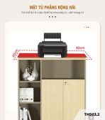 Tủ hồ sơ THS03.2 120x120 - Vân gỗ nhạt kết hợp Xanh