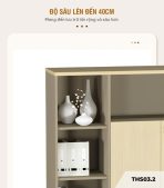 Tủ hồ sơ THS03.2 120x120 - Vân gỗ nhạt kết hợp Xanh