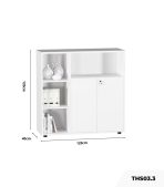 Tủ hồ sơ THS03.3 120x120 - Trắng