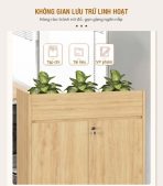 Tủ hồ sơ THS06.1 80x90 - Vân gỗ nhạt