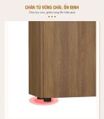 Tủ hồ sơ THS06.3 80x90 - Vân gỗ đậm kết hợp Đen
