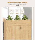 Tủ hồ sơ THS06.4 80x120 - Vân gỗ nhạt