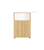 Tủ hồ sơ THS07.3 80x120 - Vân gỗ nhạt