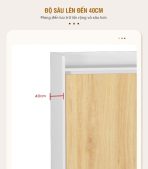 Tủ hồ sơ THS08.1 120x100 - Vân gỗ nhạt kết hợp Trắng