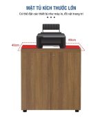Tủ hồ sơ THS09.2 80x80 - Vân gỗ đậm