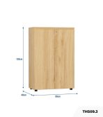 Tủ hồ sơ THS09.3 80x120 - Vân gỗ nhạt