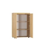 Tủ hồ sơ THS09.3 80x120 - Vân gỗ nhạt