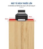 Tủ hồ sơ THS09.3 80x120 - Vân gỗ nhạt - Ảnh 4