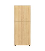 Tủ hồ sơ THS09.9 80x200 - Vân gỗ nhạt