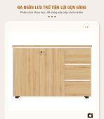 Tủ hồ sơ THS11.1 120x80 - Vân gỗ kết hợp Trắng