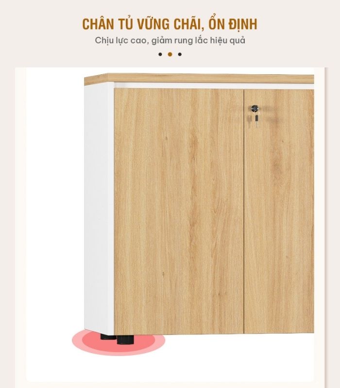 Tủ hồ sơ THS11.1 120x80 - Vân gỗ kết hợp Trắng
