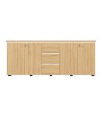 Tủ hồ sơ THS11.4 200x80 - Vân gỗ kết hợp Trắng