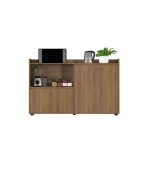 Tủ hồ sơ THS12.5 160x100 - Vân gỗ đậm