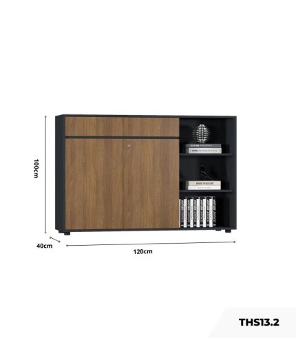 Tủ hồ sơ THS13.1 120x100 - Vân gỗ nhạt kết hợp Trắng