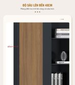 Tủ hồ sơ THS16.1 220x200 - Vân gỗ đậm kết hợp Đen
