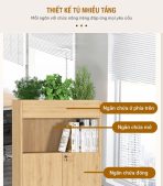 Tủ hồ sơ THS16.1 220x200 - Vân gỗ đậm kết hợp Đen