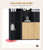 Tủ hồ sơ THS19.2 240x200 - Vân gỗ đậm kết hợp Đen