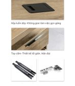 Bàn giám đốc BGD19.1 150x60 - Vân gỗ đậm