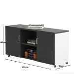 Tủ Phụ Di Động TDD16.3 120x35x60 - Đen